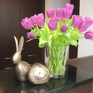 https://neu-heidelberg.hotelsheidelberg.net